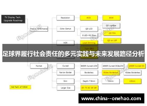 足球界履行社会责任的多元实践与未来发展路径分析 足球界履行社会责任的多元实践与未来发展路径分析