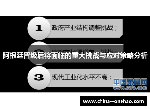 阿根廷晋级后将面临的重大挑战与应对策略分析